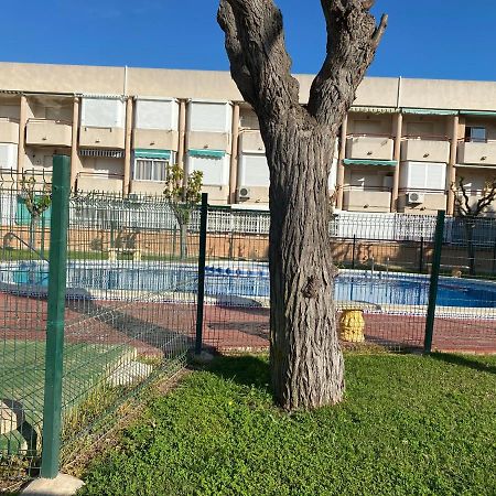 Apartamento Mil Palmeras Pilar de la Horadada Zewnętrze zdjęcie